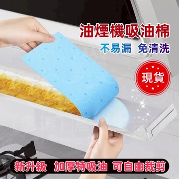 新竹現貨💯抽油煙機吸油棉 接油槽吸油棉 加厚 吸油棉 吸油棉條 抽油煙機 防油污過濾棉 油槽吸油紙 吸油煙機 廚房吸油棉