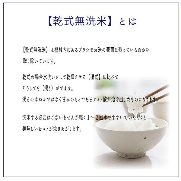 米 お米 無洗米  米10kg  新米 コシヒカリ 白米10kg 5kg x2袋 令和5年度福島県産