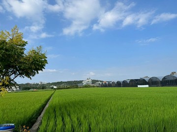 竹北｜麻園美農地（出價談）｜新竹縣竹北市麻園段