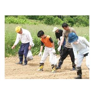 牡丹玄蕎麦 450g（ぼたんそばの種）北海道産 生産量の少ない幻の品種 ボタンソバ