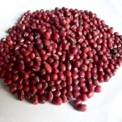 友善耕作赤小豆(200g)