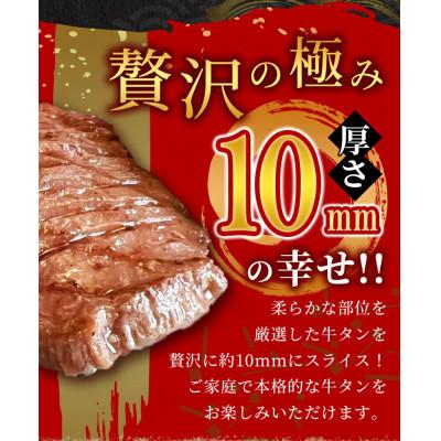 ふるさと納税 八重瀬町 厚切り牛タン500g×2パック