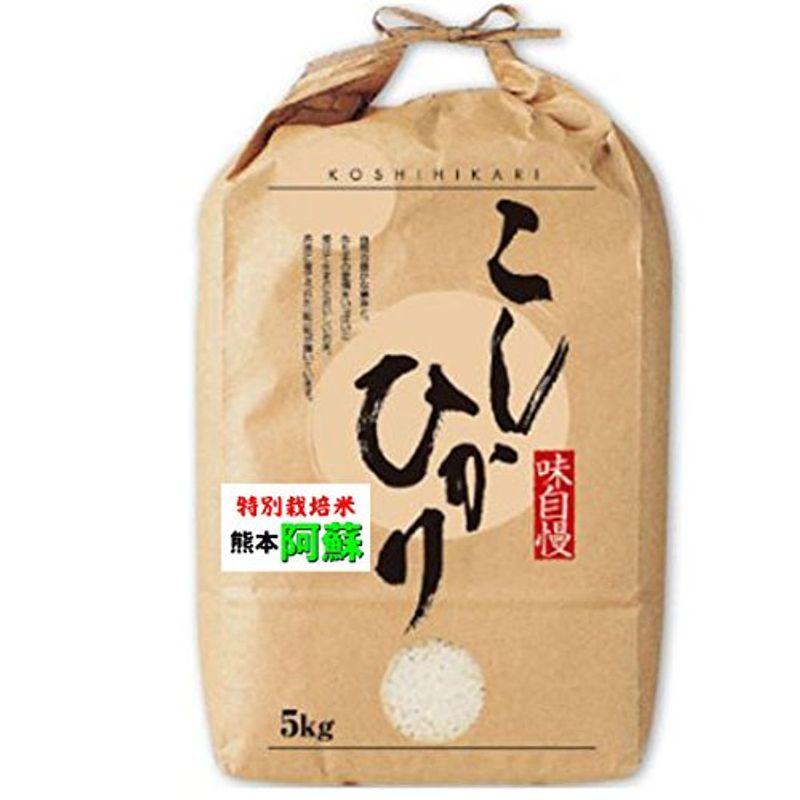 令和4年産 熊本産 特別栽培米 阿蘇 コシヒカリ 5kg 出荷日精米 (３分づき（精米後約4.85kg）)