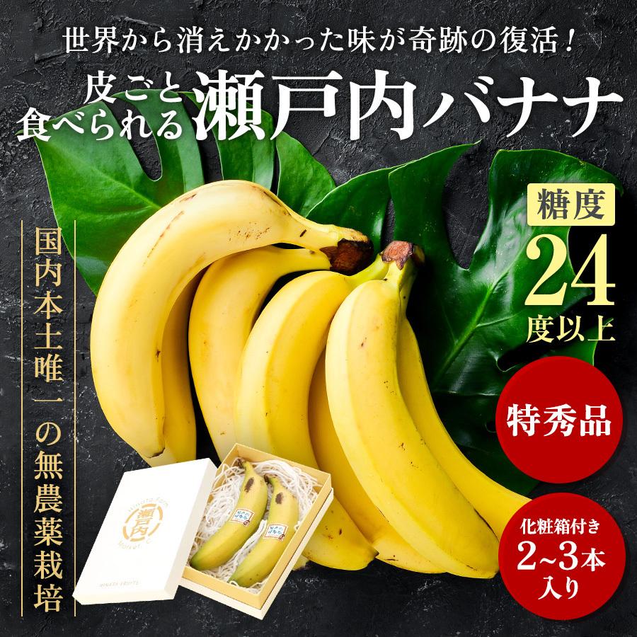 瀬戸内バナナ バナナ フルーツ 無農薬 岡山県産 特秀 2-3本入り 化粧箱 国産 送料無料 産地直送 希少 フルーツギフト