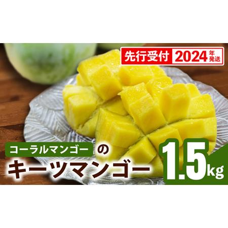 ふるさと納税 コーラルマンゴーのキーツマンゴー [優品] 約1.5kg 沖縄県八重瀬町