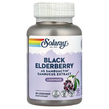 Solaray, 黑接骨木果 (Sambuactin™)，天然接骨木果味，60 含片