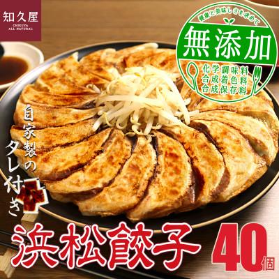 ふるさと納税 浜松市 知久屋の浜松餃子食べきりセット 計40個 (20個入×2袋　タレ8袋)