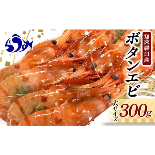 ふるさと納税 北海道 羅臼町 12月17日入金分まで 年内発送 北海道産 知床羅臼産ボタンエビ 大サイズ300g ぼたんえび ぼたん海老 魚介類 北海道 魚介 海産物 冷…