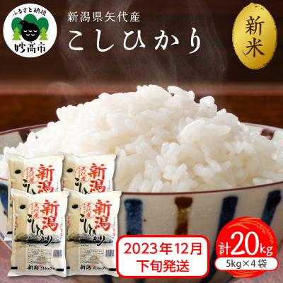 ふるさと納税 妙高市 2023年12月下旬発送　 新潟県矢代産コシヒカリ 計20kg