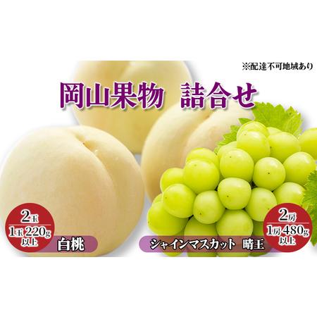 ふるさと納税 桃 ぶどう 2024年 先行予約 岡山果物 詰合せ 白桃 2玉（1玉 220g以上）／  シャイン マスカット 晴王 2房（1房 480g以上）化粧箱入.. 岡山県岡山市