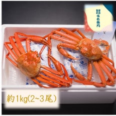 ボイル紅ズワイ蟹　約1kg(2～3尾)