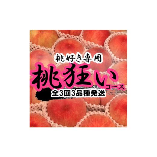 ふるさと納税 山梨県 笛吹市 ＜2024年先行予約＞山梨県笛吹市産 桃狂い 約1kg×3回発送 105-010