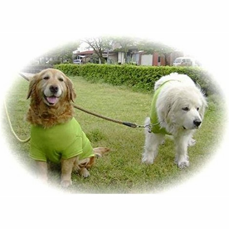 Cct 小型犬 冷感 クールシャツ Sサイズ 通販 Lineポイント最大0 5 Get Lineショッピング