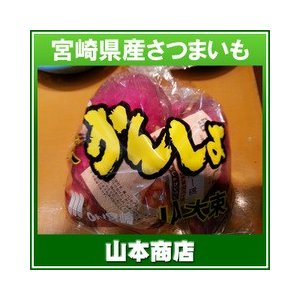 さつまいも（宮崎県産）１ｋｇ　シルクスィート