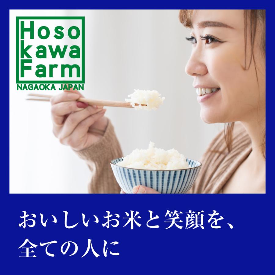 お米 ごはん白米 無洗米 5kg 5キロ 新潟県産 こしいぶき コシイブキ 令和5年産