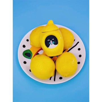 uodycoco原創小富貴檸檬牙簽盒個性創意家居擺件客廳餐廳牙簽筒