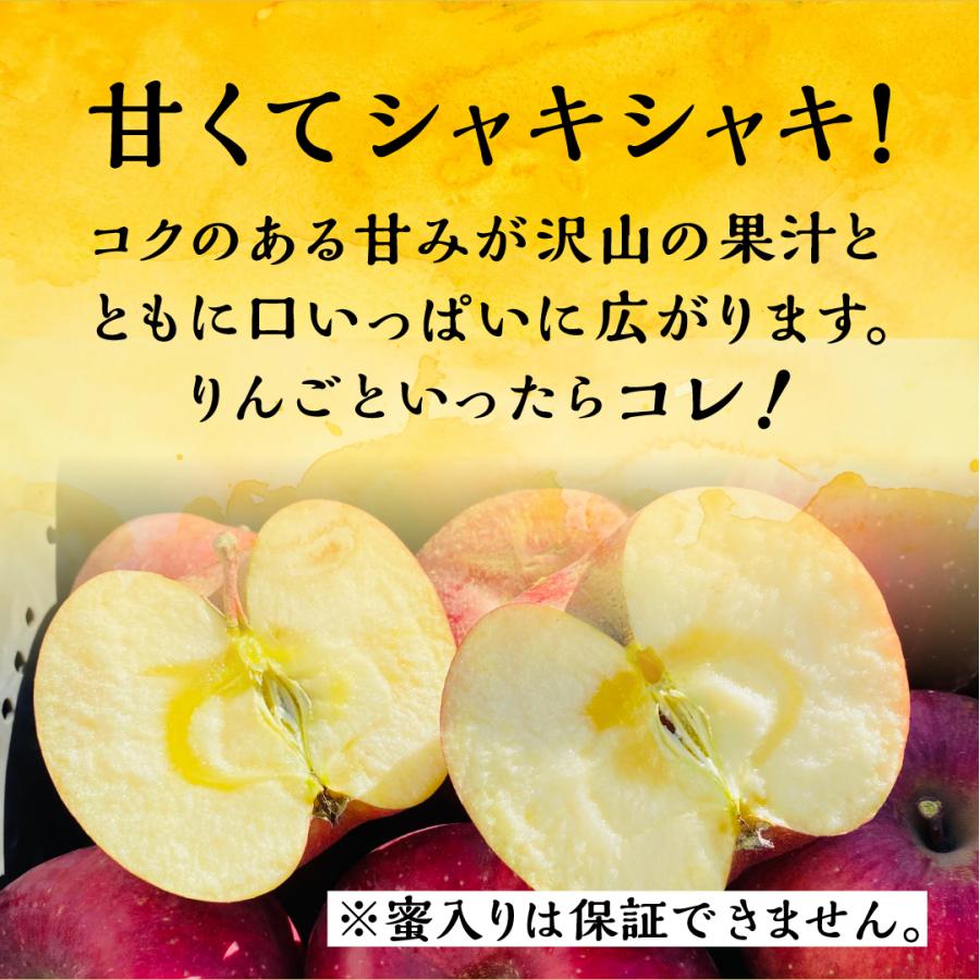 「サンふじ5キロ箱訳あり品」 減農薬 甘い 酸っぱい りんご 長野県 安曇野 信州 産地直送 果物 フルーツ  希少 ギフト 贈答 家庭 5kg