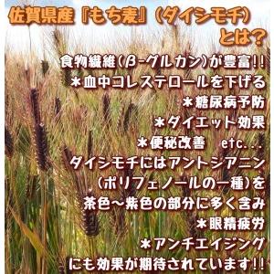 ふるさと納税 CI201_佐賀県産『もち麦』食べ比べ！キラリモチ１kg、ダイシモチ１kg 佐賀県みやき町