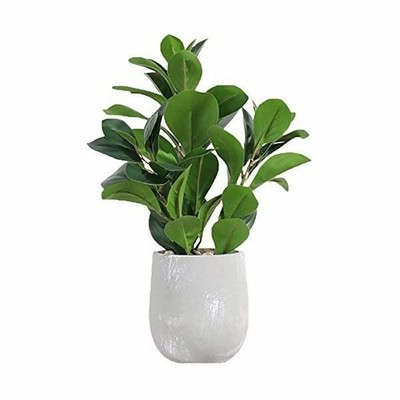 Aedoe 人工観葉植物 モンステラ 光触媒 造花 観葉植物 簡単世話いらず 水やり不要 フェイクグリーン 陶器鉢 鉢植え 装飾 造花グリーン モン 通販 Lineポイント最大get Lineショッピング