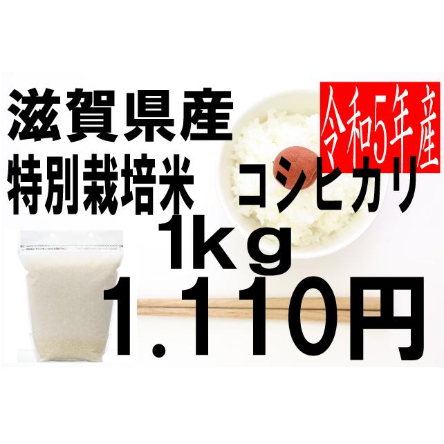 米　令和5年度産　滋賀県産　特別栽培米　コシヒカリ　1kg