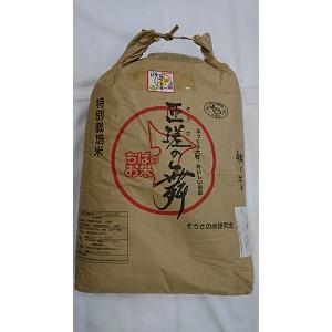 千葉県産　匝瑳の舞　玄米　30kg(精米無料)　送料無料　※北海道、沖縄はプラス送料かかります。