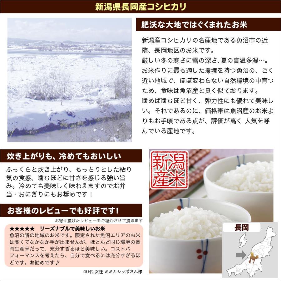 新米 令和5年産 お米 5kg 長岡産コシヒカリ 新潟産 送料無料 （北海道、九州、沖縄除く）