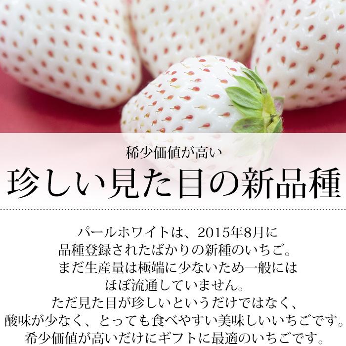 いちご 奈良県産 パールホワイト 又は 真珠姫 2パック