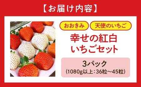 宮崎県産イチゴ「幸せの紅白いちごセット」3パック（1080g以上：36粒～45粒） いちご 苺