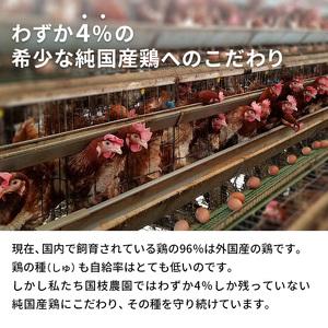 ふるさと納税 卵 わずか4%の希少な純国産鶏 いけだの森たまご 60個 こだわり おこめのたまご 玉子 鶏卵 生卵 産地直送 冷蔵配送 TKG 卵かけご飯 .. 岐阜県池田町