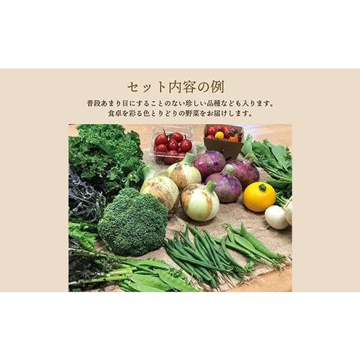 ふるさと納税 福島県 白河市 《有機JAS認証》オーガニック 季節のお野菜セット（大）定期便 3ヶ月連続 F21R-864