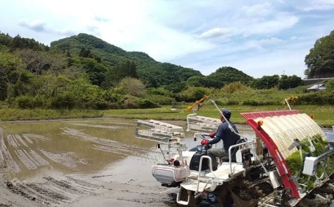 立神米はいごころ（玄米）定期便 2kg 6回お届け 茨城県 大子町 米