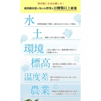 南阿蘇オーガニック 旬の野菜セット10種類以上詰め合わせ《30日以内に順次出荷(土日祝除く)》熊本県 南阿蘇村 野菜 カブ ビーツ サニーレタス クレソン ブロッコリー 水前寺菜 ほうれん草２種 チンゲン菜 春菊 スイスチャード