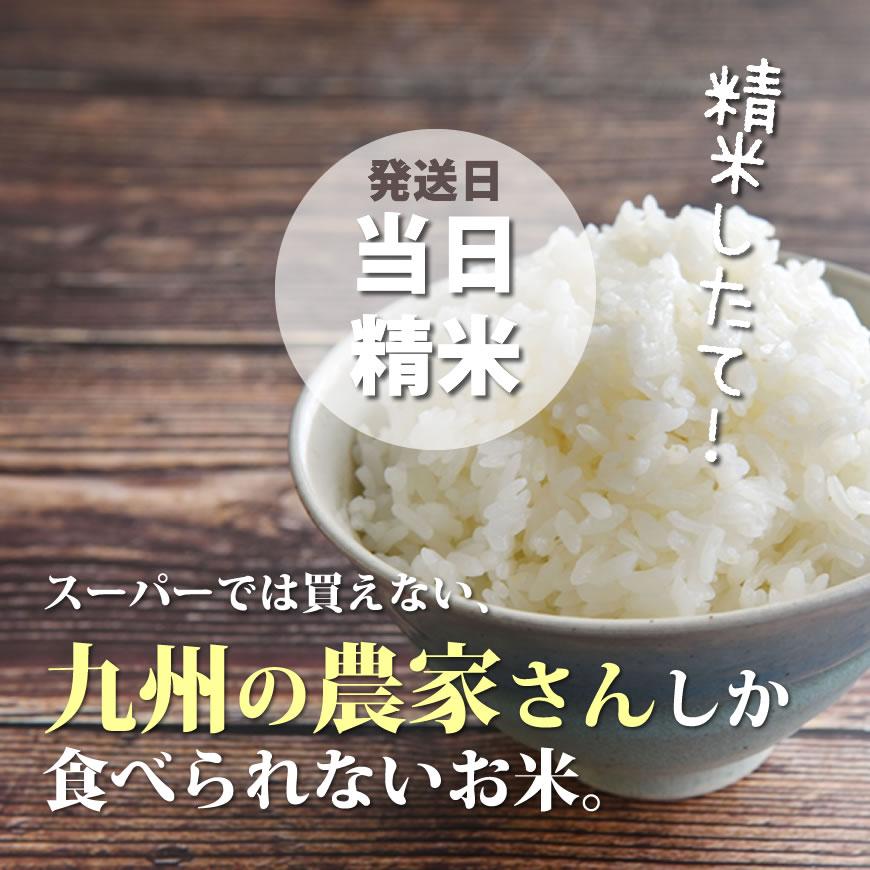  米 お米 5kg ヒノヒカリ 5kg×1袋  令和5年産  お祝い お歳暮 ギフト お取り寄せグルメ　 福岡県 特別栽培米 たごもり農園