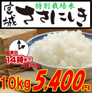 宮城ささにしき　特別栽培米　１０ｋｇ（宮城県登米市限定）　白米・玄米・３分搗き・７分搗き選択可能