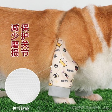 寵物保暖中型犬護肘衣護膝護腿狗關節手術保護套受傷防寒金毛柴犬