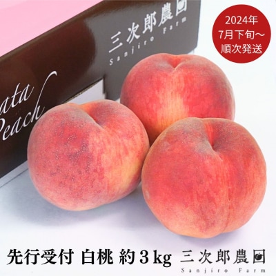 先行受付 白桃 約3kg(9玉～11玉入り)[2024年発送] 桃 [三次郎農園]