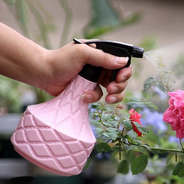 家用園藝小噴壺噴水壺小型灑水壺室內噴霧器澆花神器多肉澆水壺