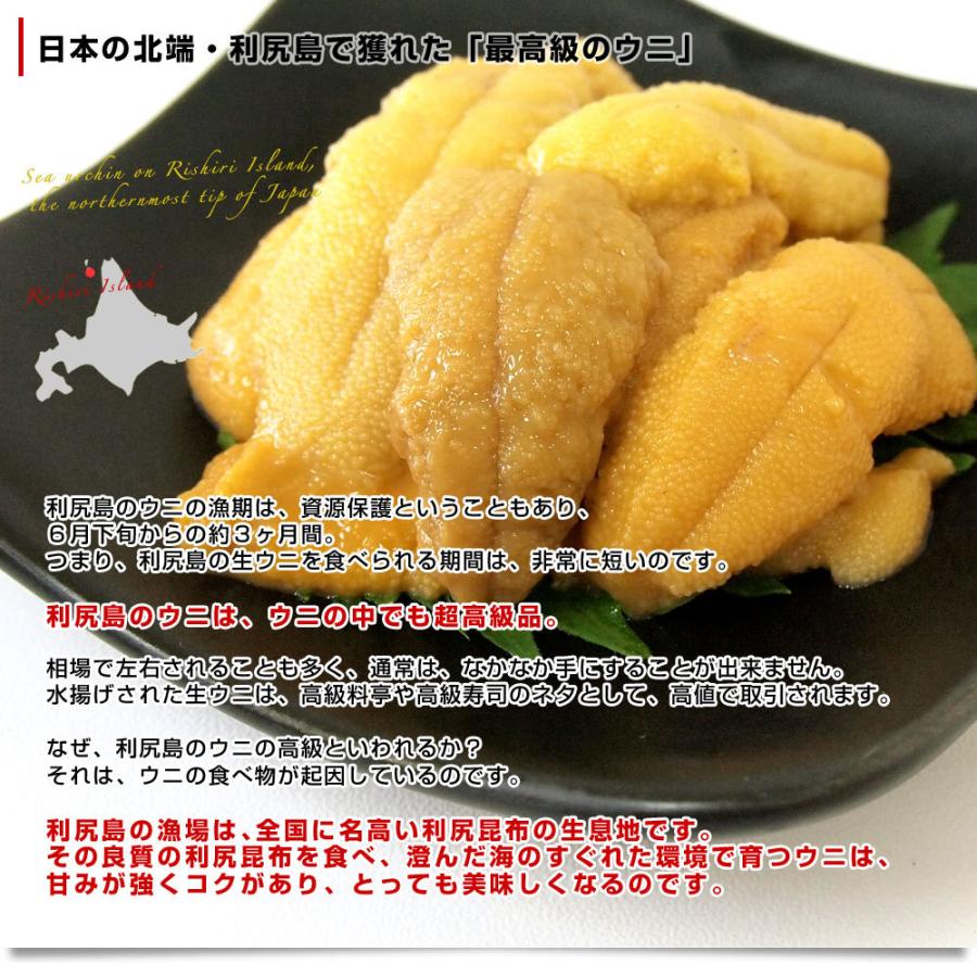 北海道 利尻島産 一夜漬 純粒うに（キタムラサキウニ） 60g×2本セット　送料無料 ウニ 雲丹