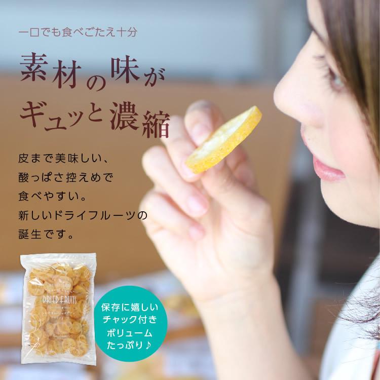 ドライフルーツ 国産 レモン 500g 送料無料 輪切り 皮も美味しい 酸味控えめ ドライレモン お徳用 ご自宅用 業務用 南信州菓子工房 お菓子作りにも お歳暮