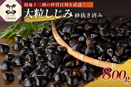 しじみ　津軽十三湖産大粒しじみ800g（冷凍・砂抜き済）