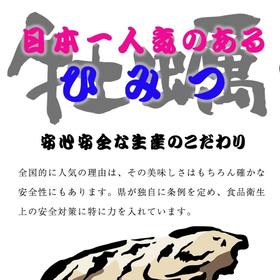 広島産 殻付き 牡蠣 訳あり 3キロ(約30個) カンカン焼き ガンガン焼　カキ かき 宮島 BBQ ナイフ 軍手付 ギフト 取り寄せ