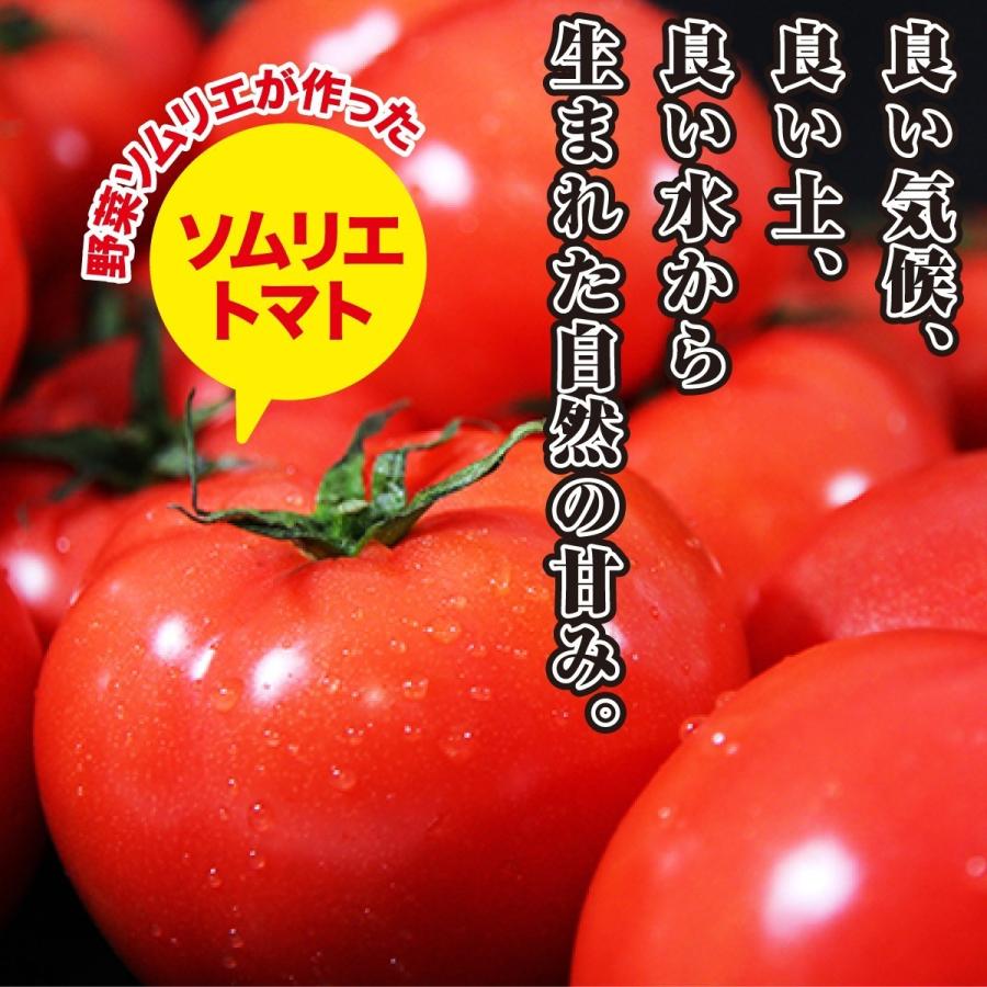 受賞歴３回！ソムリエトマト　５〜６kg(１８玉〜３６玉）(2)のオマケ！ソムリエミニトマト　プラチナ