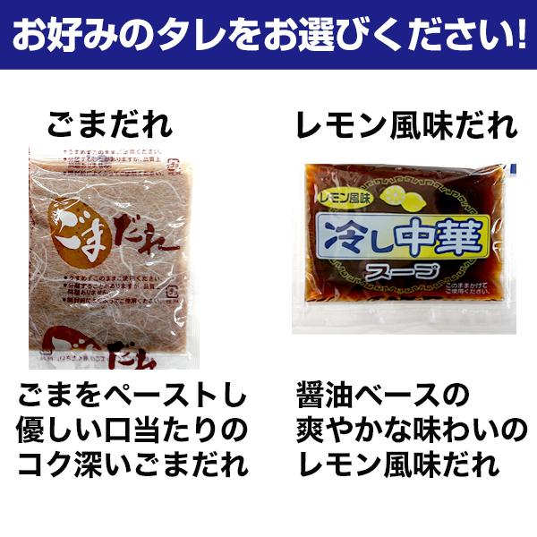 23年12月20日送料無料 冷やし中華5人前 半生ちぢれ麺 選べるスープ ごまダレ 醤油スープ さわやか グルメ お試し お取り寄せ 麺 本格