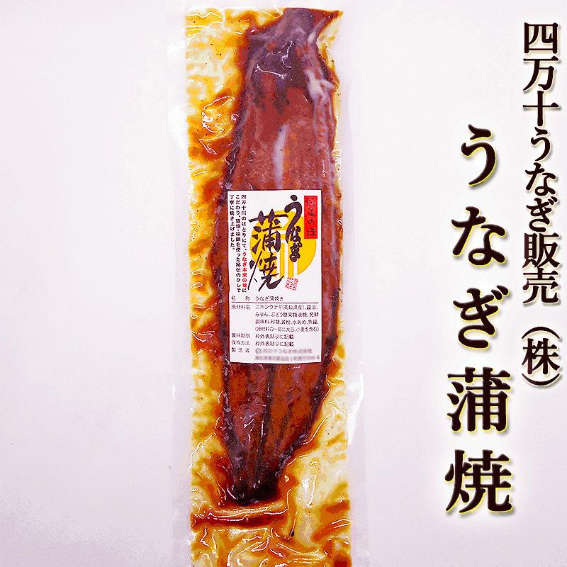 あす着く ギフト うなぎ 蒲焼き 国産 四万十うなぎ（株） うなぎ蒲焼 約150g 特大一尾まるごと 高知産 うなぎ ウナギ 鰻 蒲焼き 国産 土用丑の日