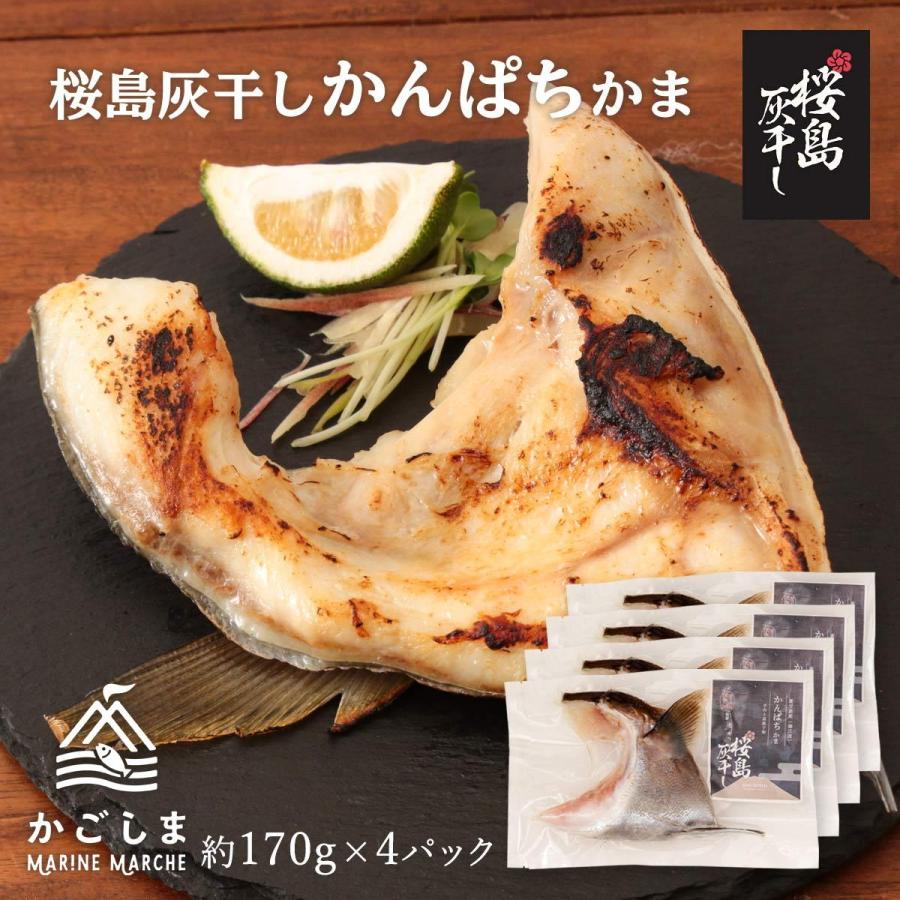 送料無料 [清泉社] 魚介類加工品 かんぱちかま 1個×4パックセット 干物 ひもの おつまみ 灰干し 桜島 鹿児島 手作り