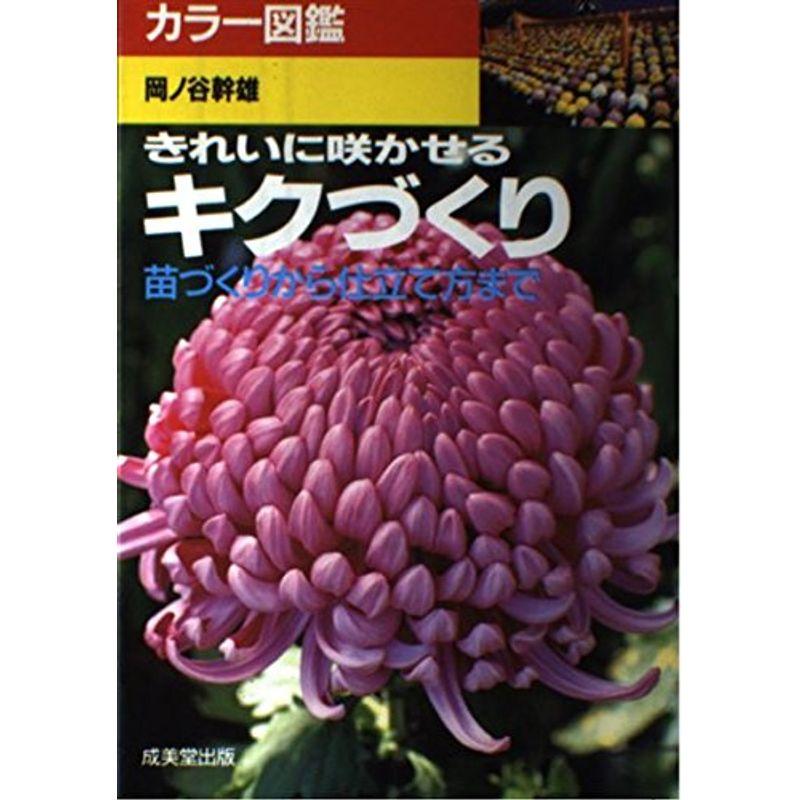 カラー図鑑 きれいに咲かせるキクづくり?苗づくりから仕立て方まで