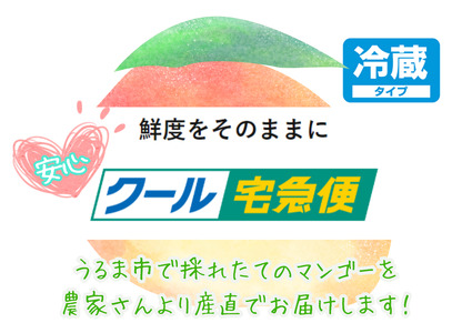 徳田さんの最高級贈答用マンゴー　大玉4～5個　　贈答用　最高級　美しい　美味　沖縄県産　アップルマンゴー