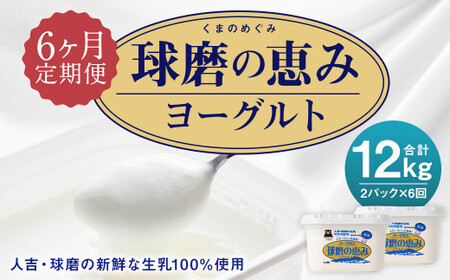 球磨の恵みヨーグルト 加糖 1kg×2パック×6回  合計12kg