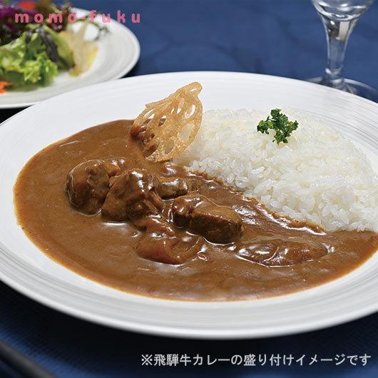 キッチン飛騨　レトルトカレー 詰合せ