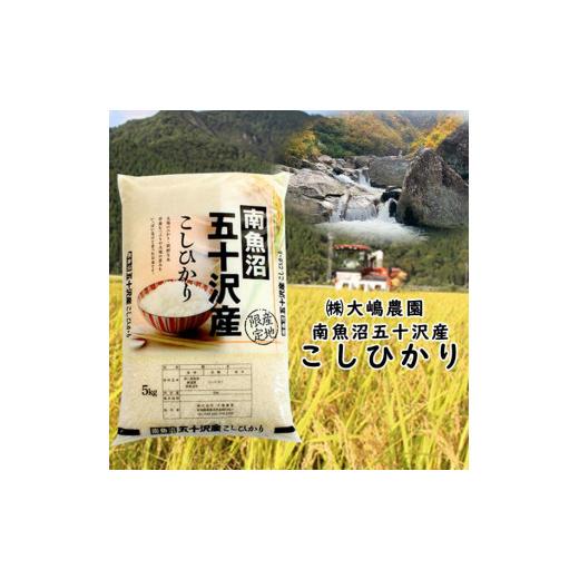 ふるさと納税 新潟県 南魚沼市 ☆令和5年産☆南魚沼市五十沢産